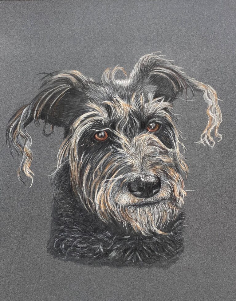 Buntstift Portrait nach Vorlage
