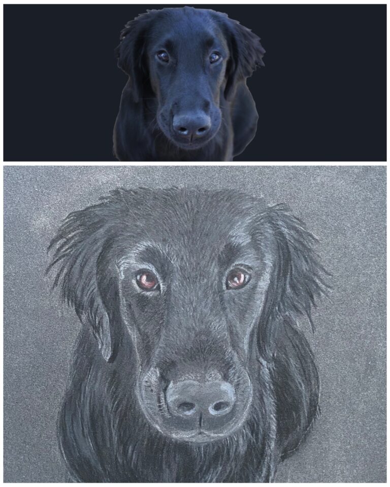 Beispiel: Hund