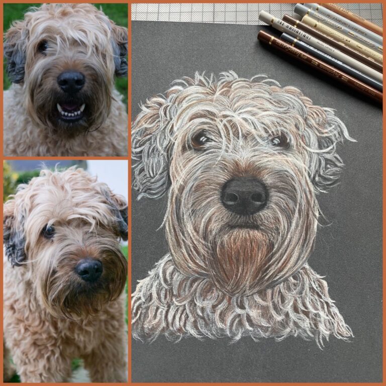 Beispiel: Hund