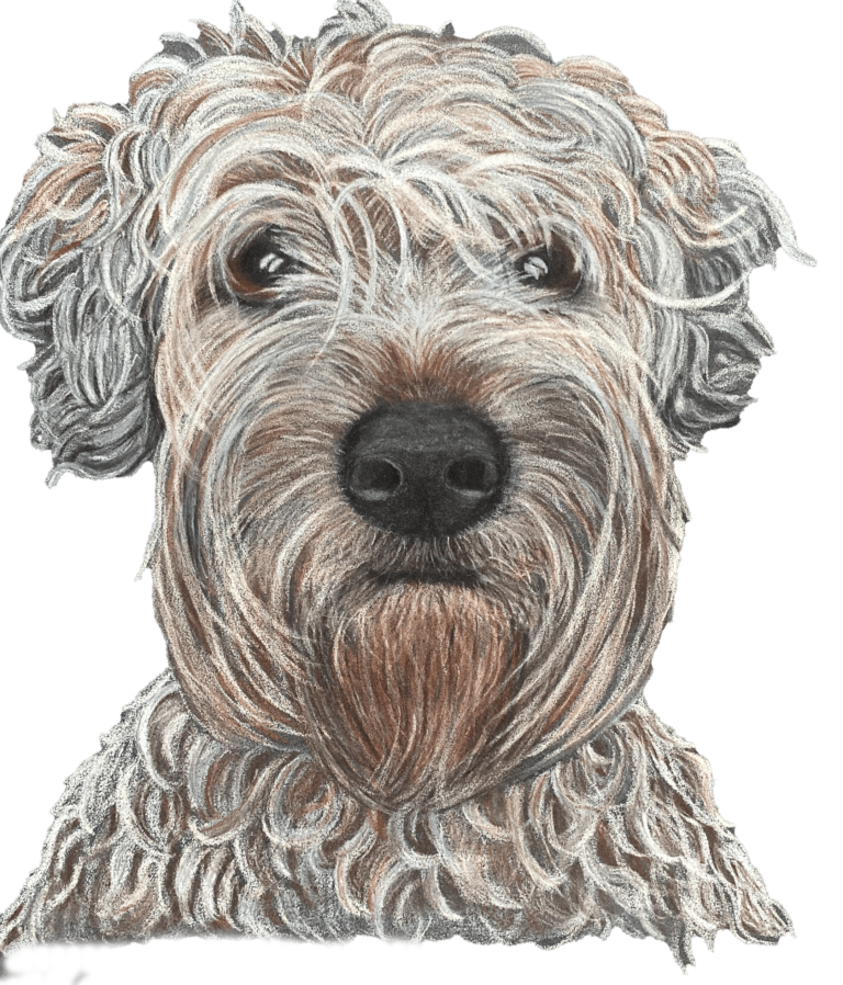 selbst gemaltes Portrait eines Hundes