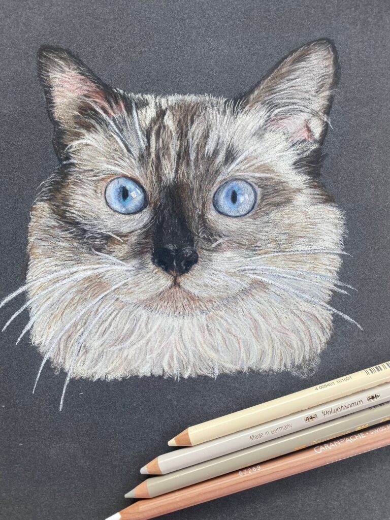 Selbst gemalte Katze